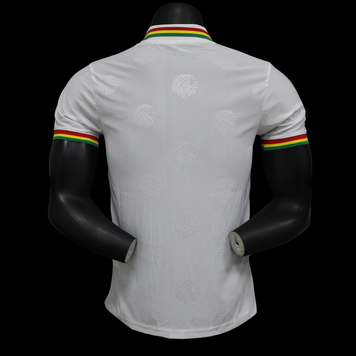 Senegal Maillot Spécial Domicile 24/25
