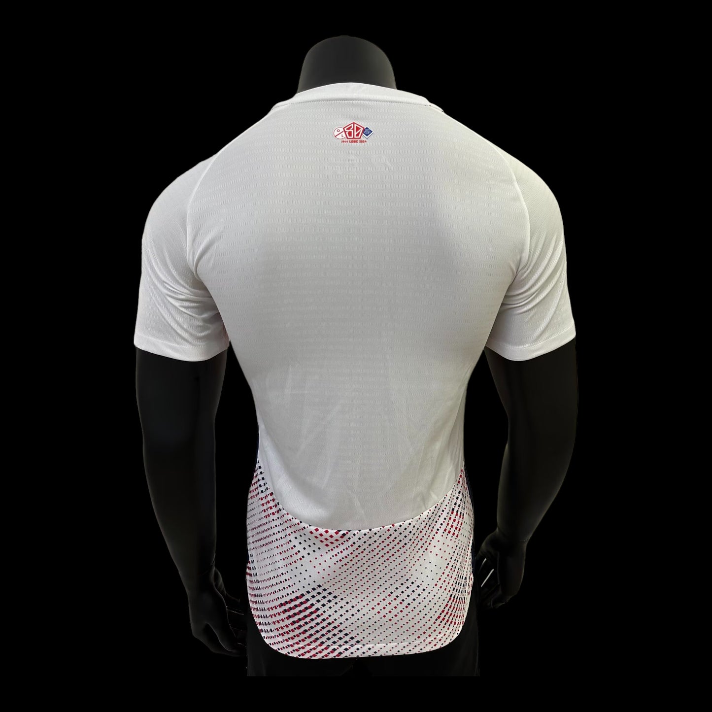 Lille Maillot Domicile 24/25 – Version Player