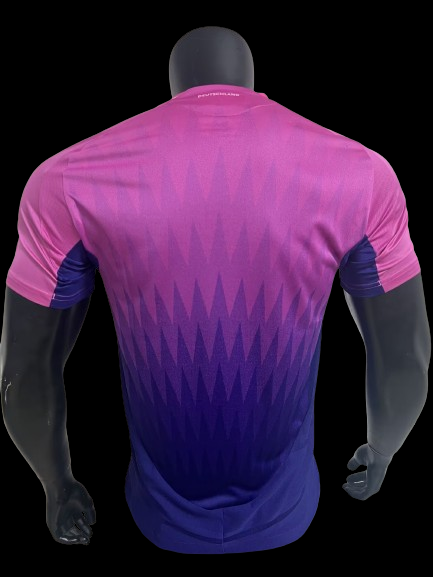 Allemagne Maillot Extérieur 24/25 – Version Player