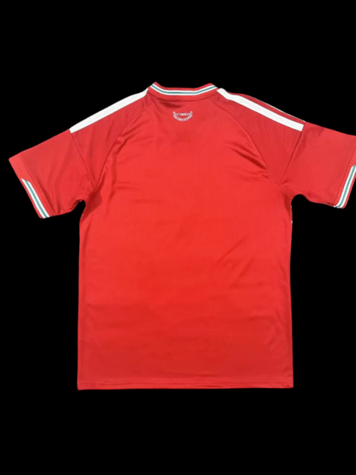 Pays de Galles Domicile 26/27