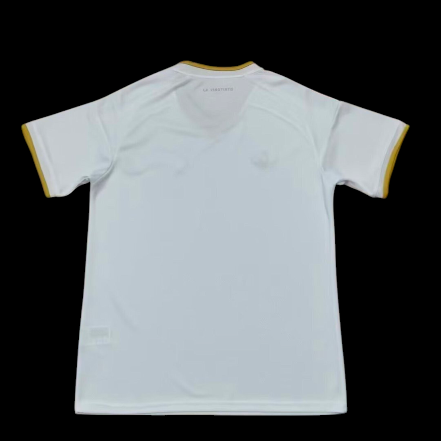 Venezuela Maillot Exterieur 26/27