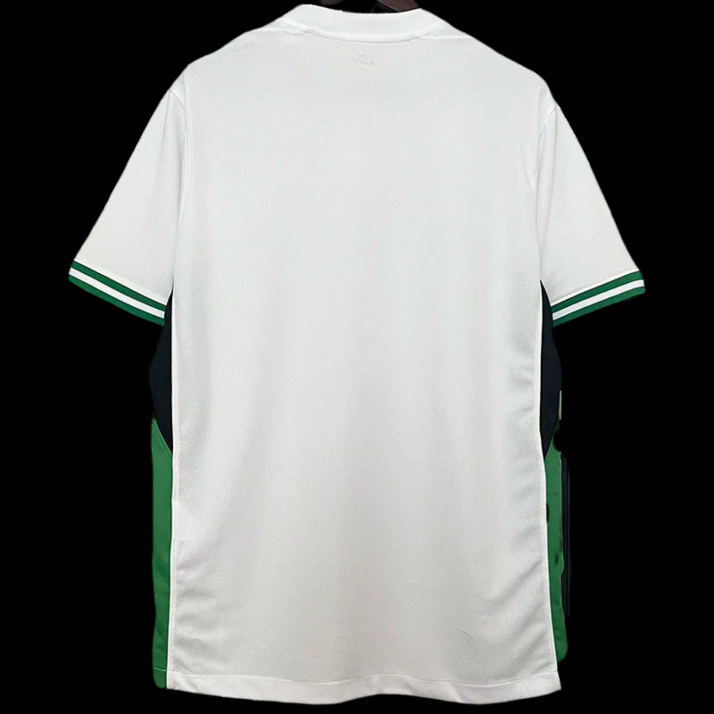 Nigéria Maillot Domicile 24/25