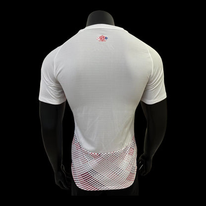 Lille Maillot Domicile 24/25 – Version Player