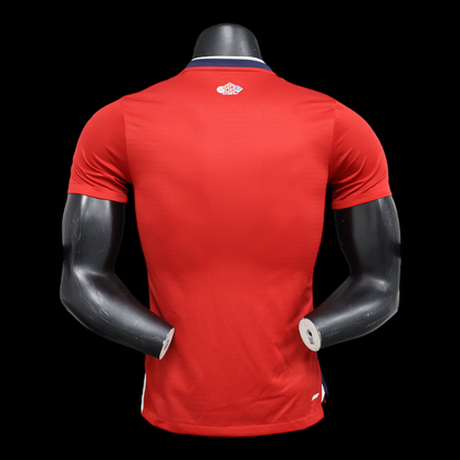 Lille Maillot Extérieur 24/25 – Version Player