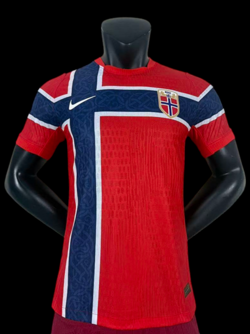 Norvege Maillot Domicile 26/27 - Version Player