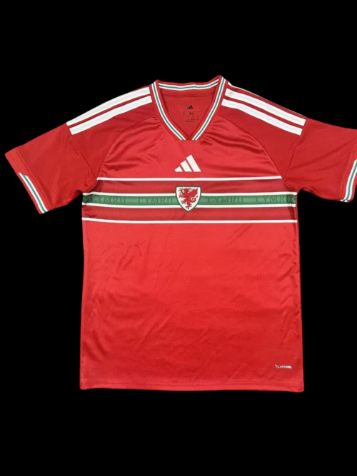 Pays de Galles Domicile 26/27